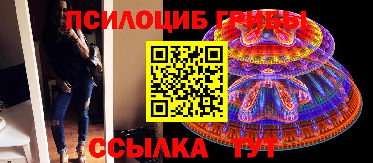Гуково  Галлюциногенные грибы MAGIC MUSHROOMS  Вход с VPN 