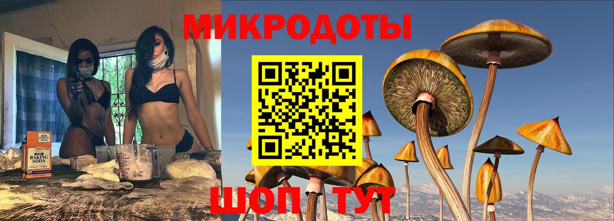 Псилоцибиновые грибы Cubensis Гуково